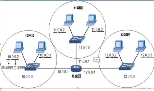 盘算机网络基础 网络层盘算与辅助装备剖析